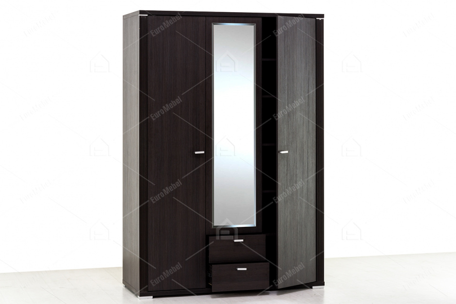 Шкаф для одежды  3Д  (Monte 3D2S) коллекции Монте, Дуб Ниагара, Анрэкс (Беларусь)